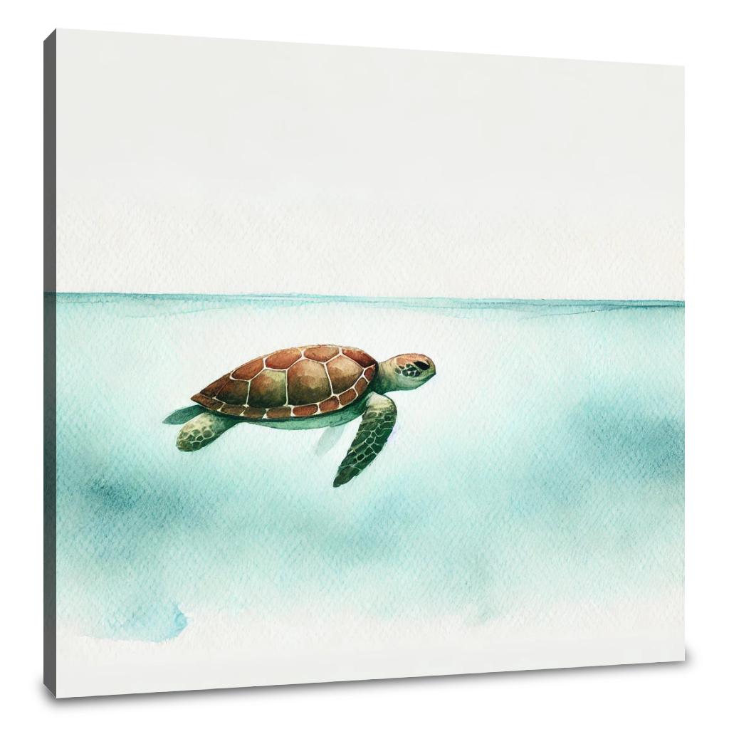 Graceful Turtle Ocean Canvas