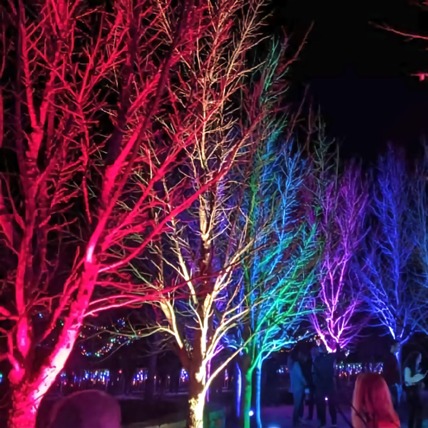 Ultimate Smart Bluetooth Floodlight LED Outdoor Multi Colour / Warm White