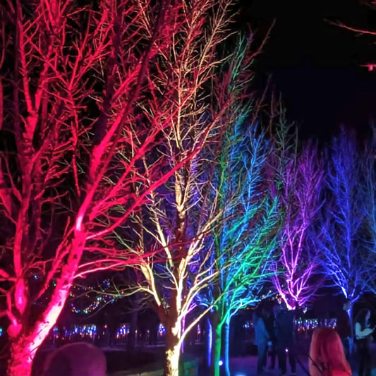 Ultimate Smart Bluetooth Floodlight LED Outdoor Multi Colour / Warm White