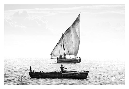 David Ballam - ZAN_22