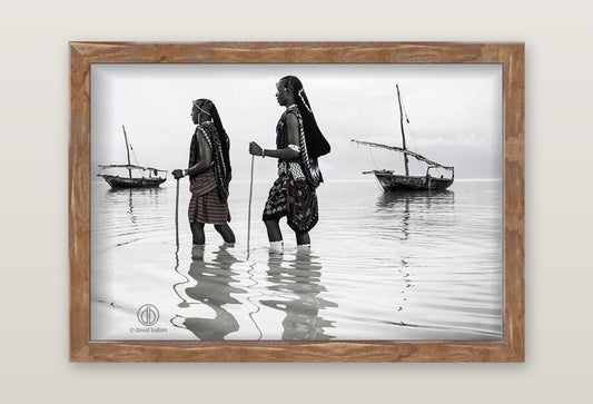 David Ballam - ZAN_53