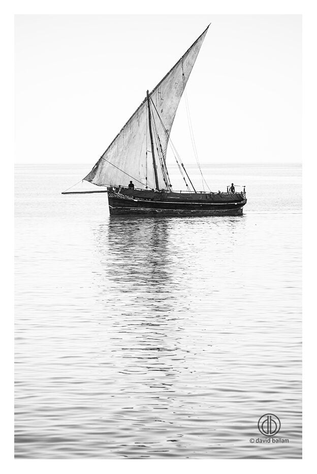 David Ballam - ZAN_59