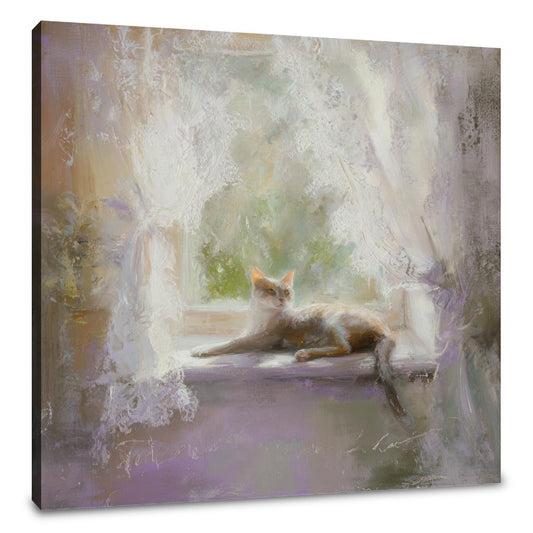 Afternoon Whiskers Canvas