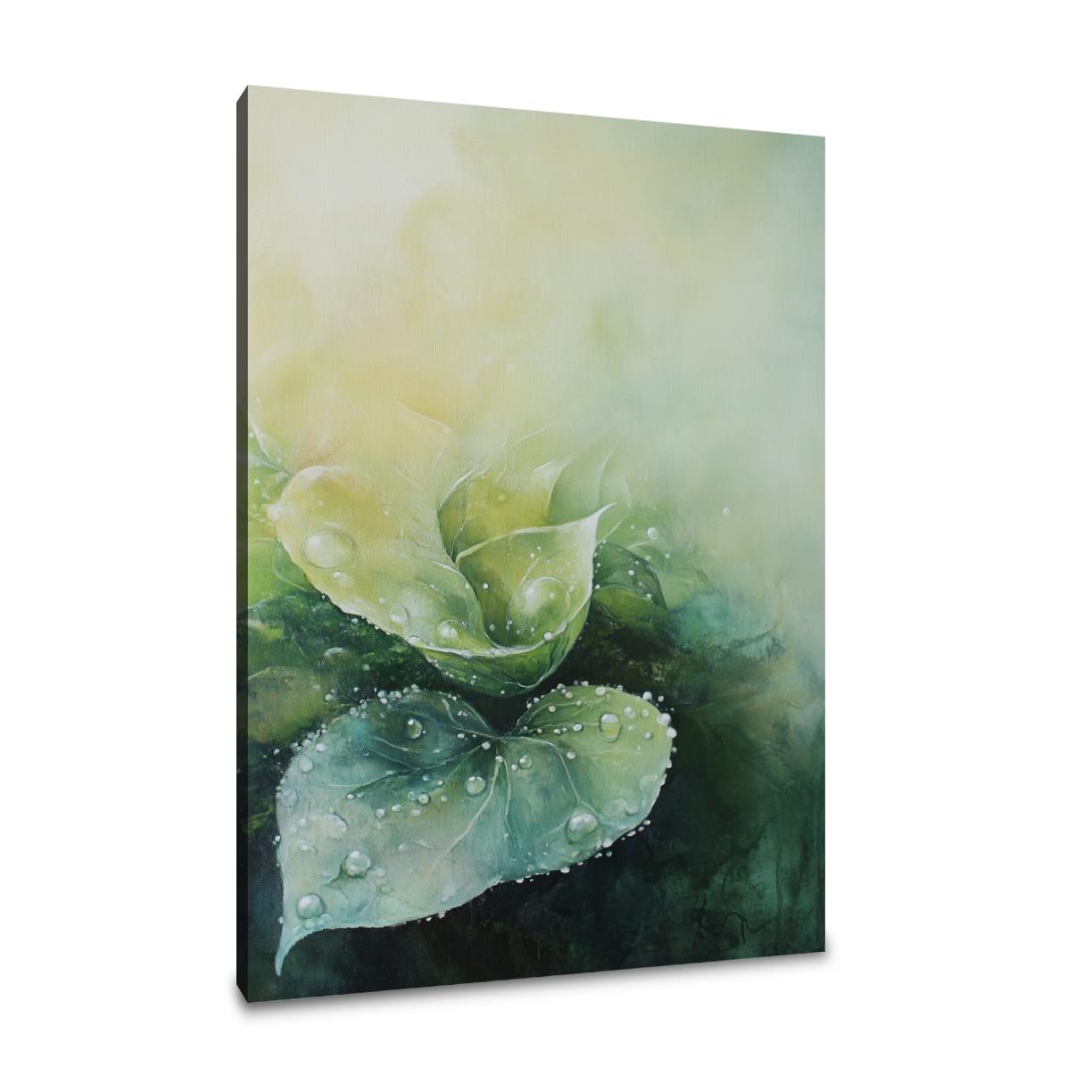 Morning Dew Reverie Canvas