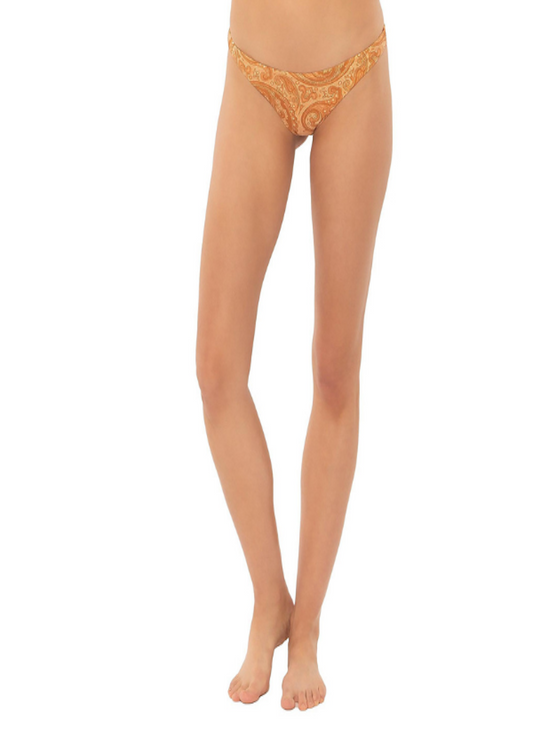 Amuse society Etta teensy bikini bottom