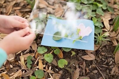 Nature Print Clear Plexiglass 5" x 7"