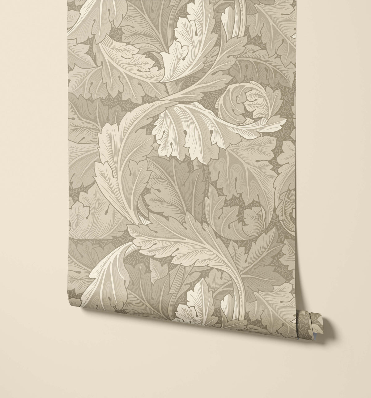 Acanthus