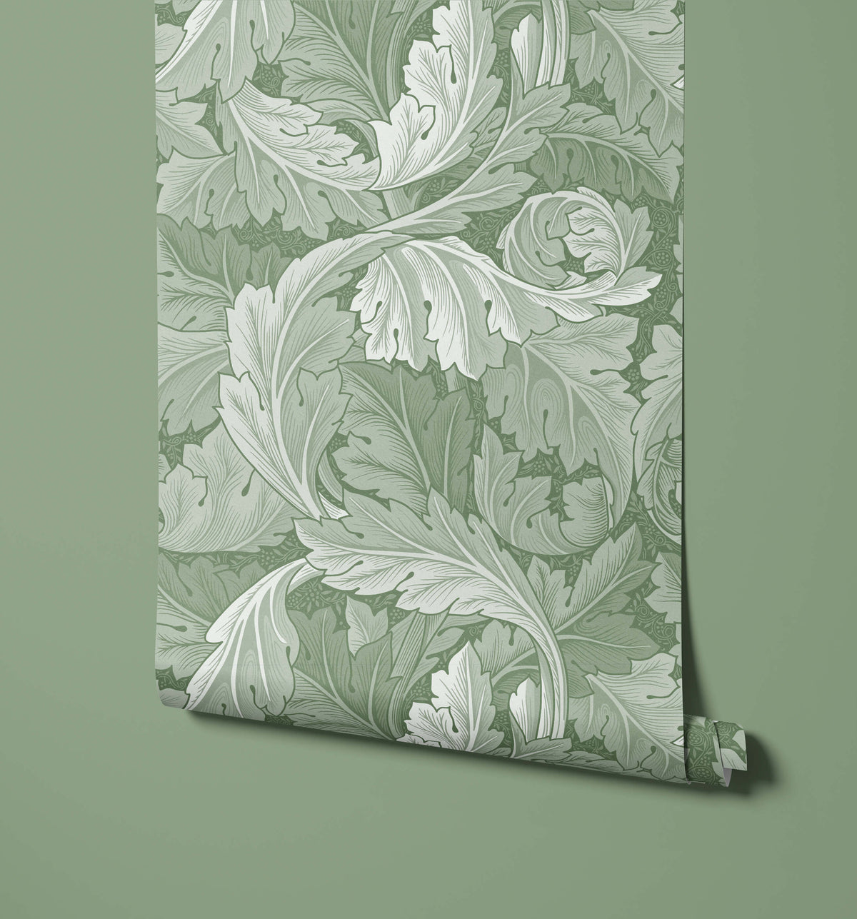 Acanthus