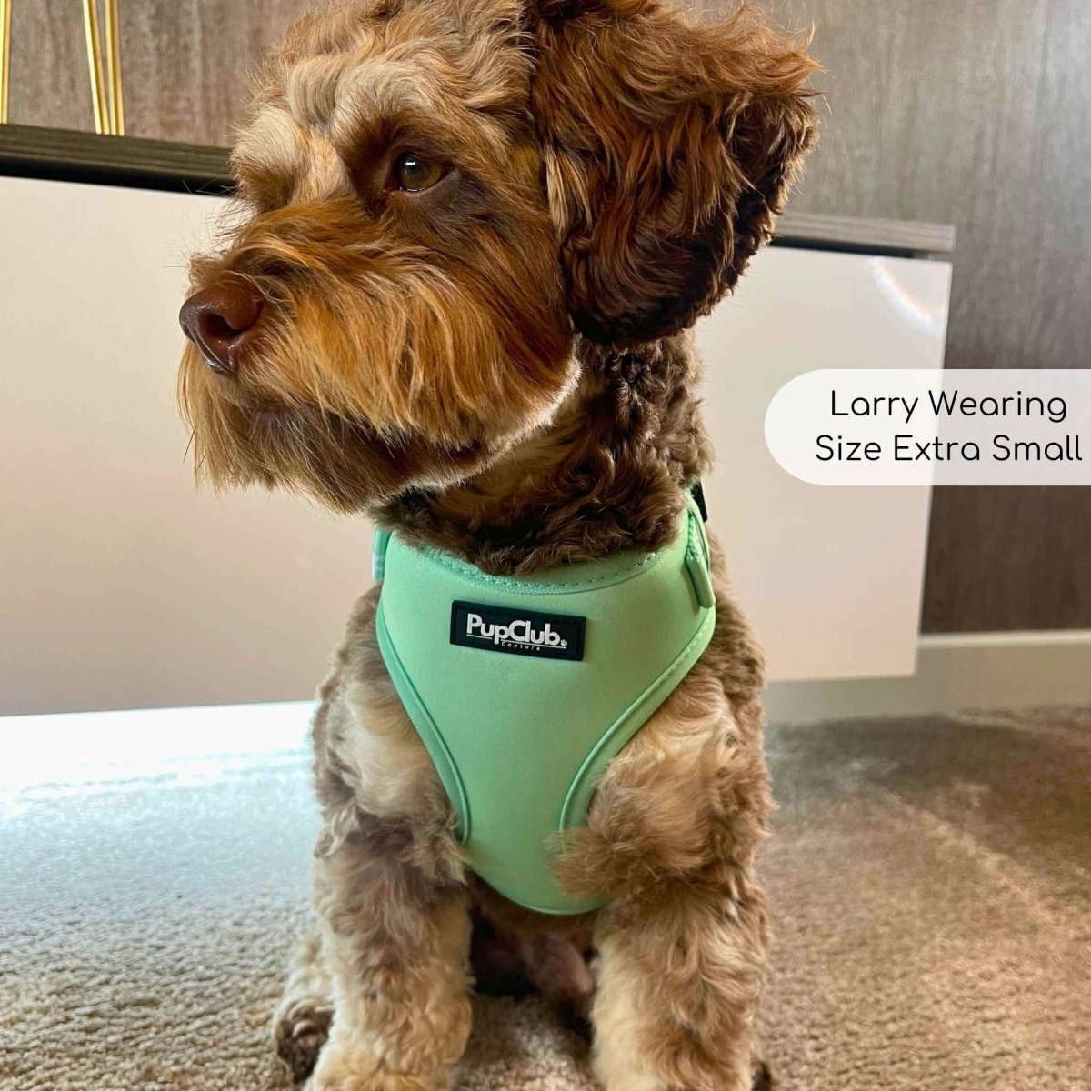 Adjustable Harness - Pastel Mint Green