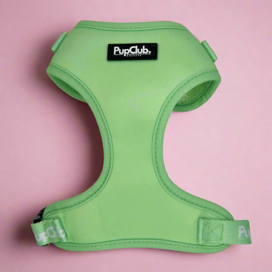 Adjustable Harness - Pastel Mint Green