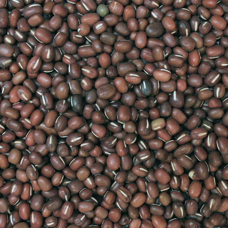 Infinity Foods Bulk Organic Aduki Beans