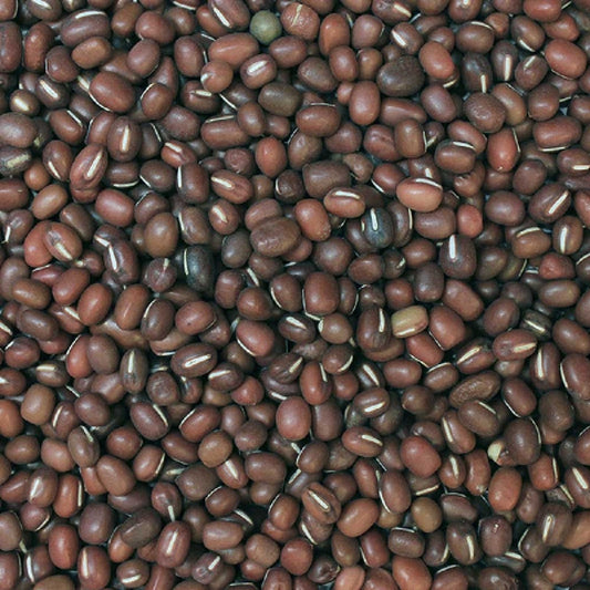 Organic Aduki Beans