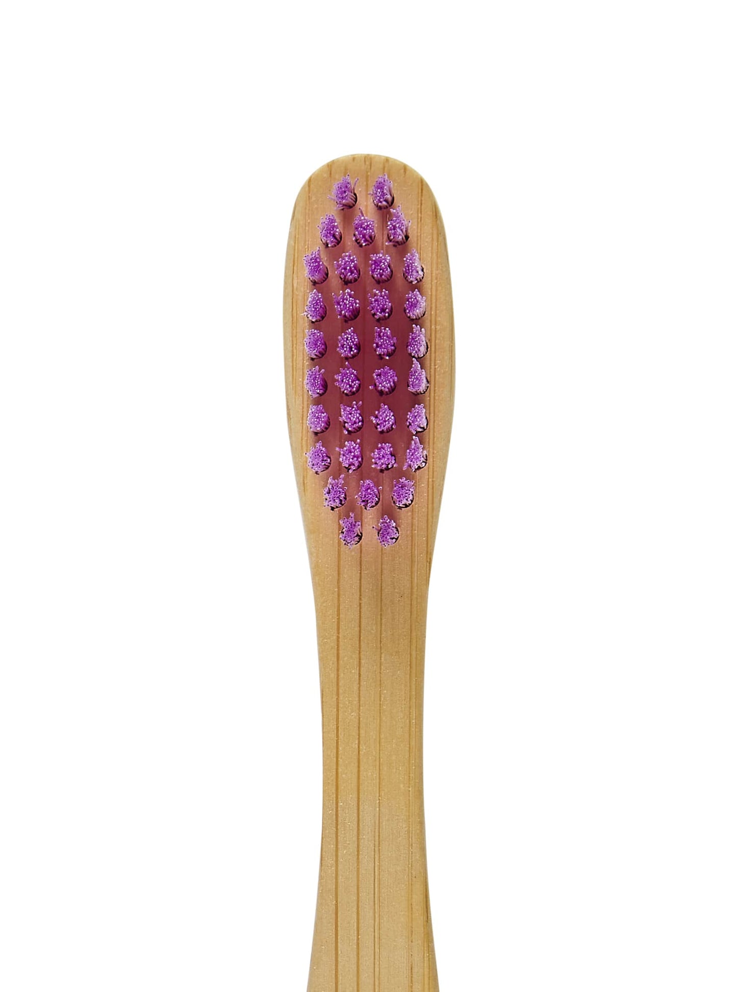 Adult Bamboo Eco Friendly Toothbrush - 1 Pack