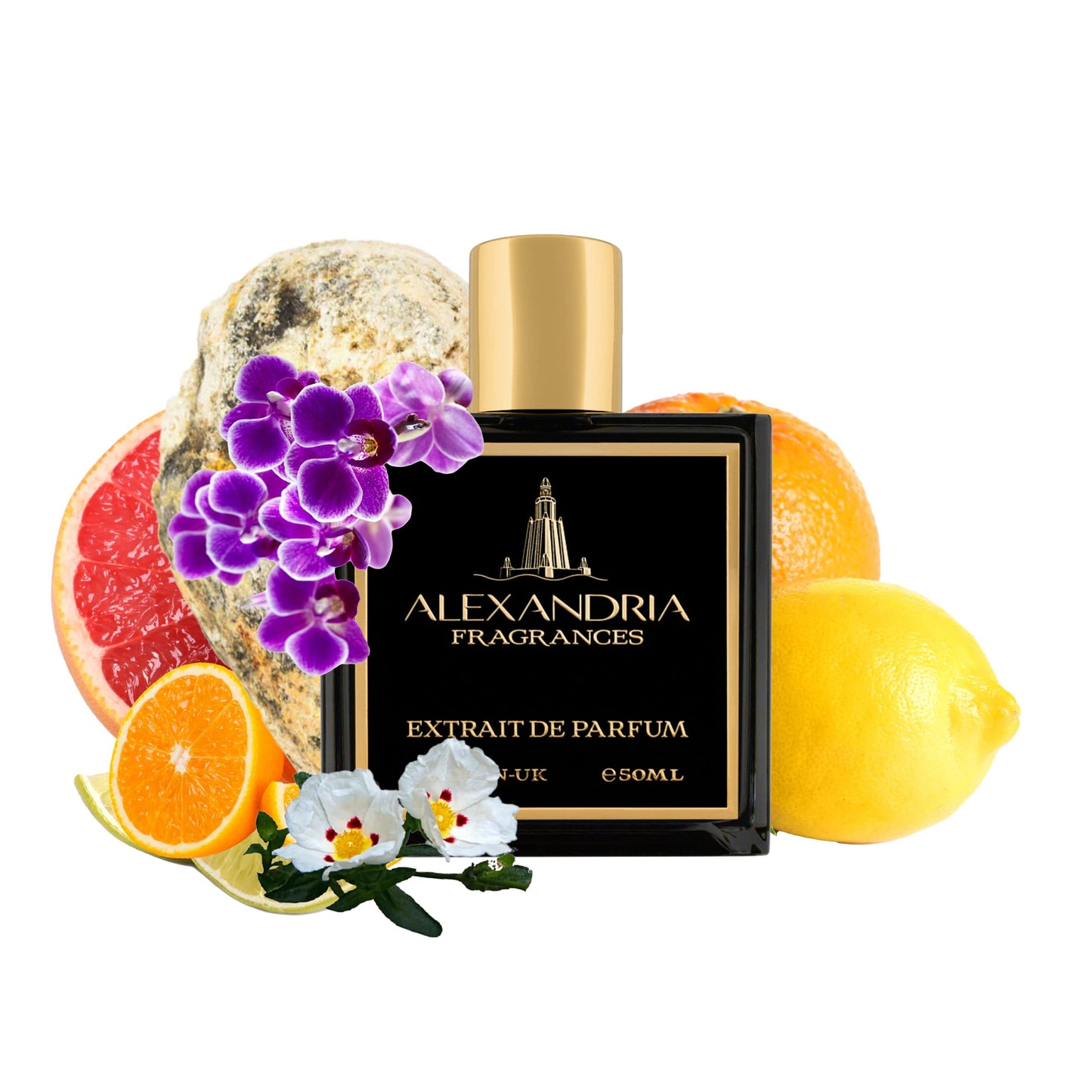 Caribbean Cove Inspired by Caribs for Men by Amaffi