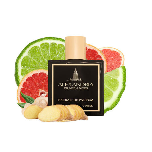 Orchestra Inspired By Symphony LV