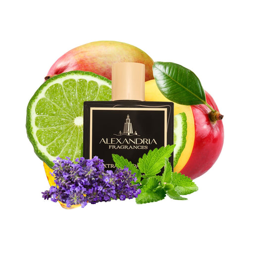 Barricade Inspired by Mind Games Blockade