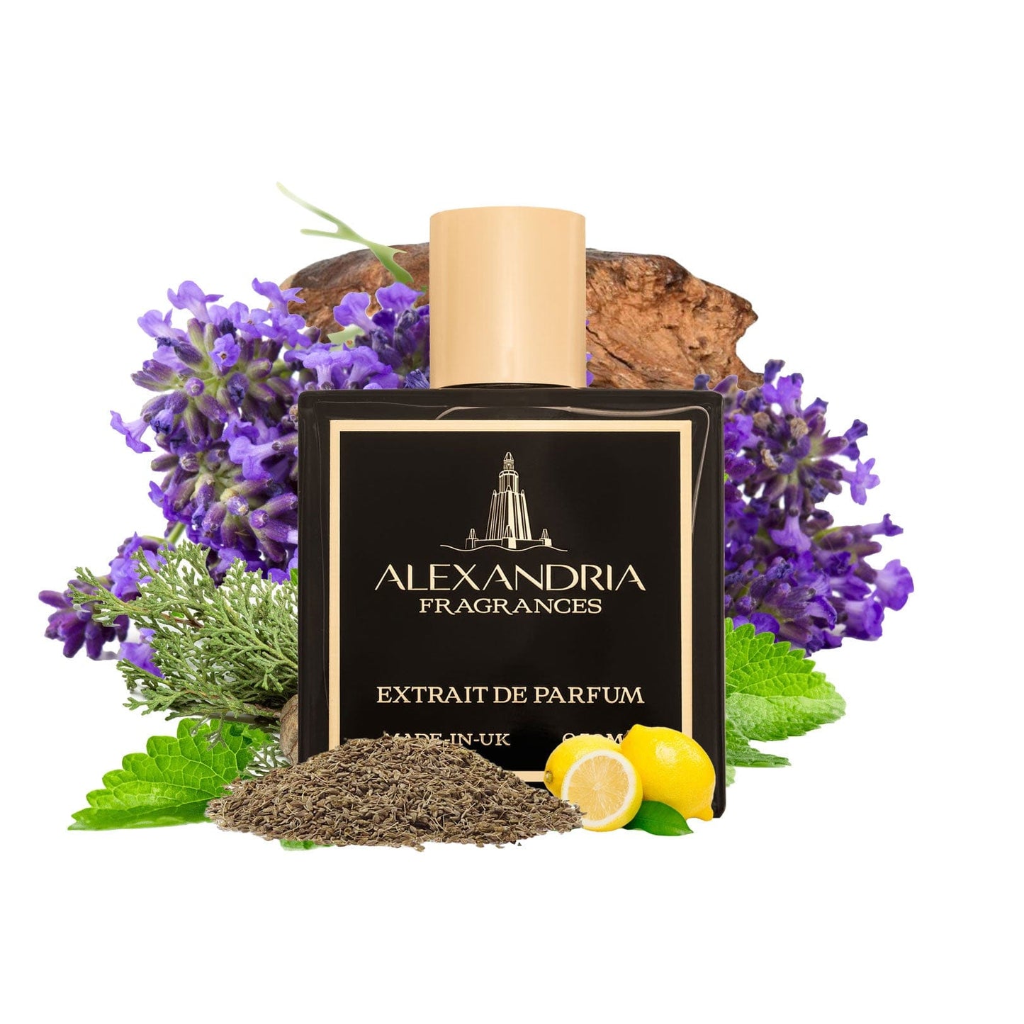 Danger Zone Inspired By Roja Dove Danger Pour Homme