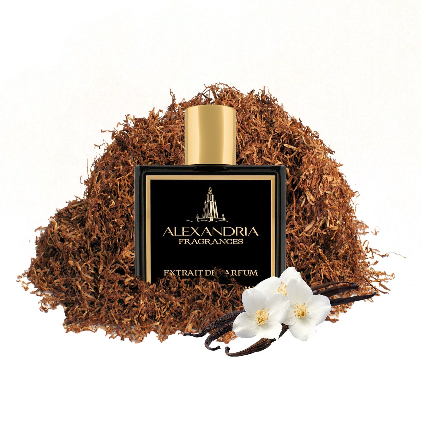 Sweet Smoke Inspired By Tom Ford's T Vanille