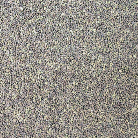 Organic Alfalfa Seeds