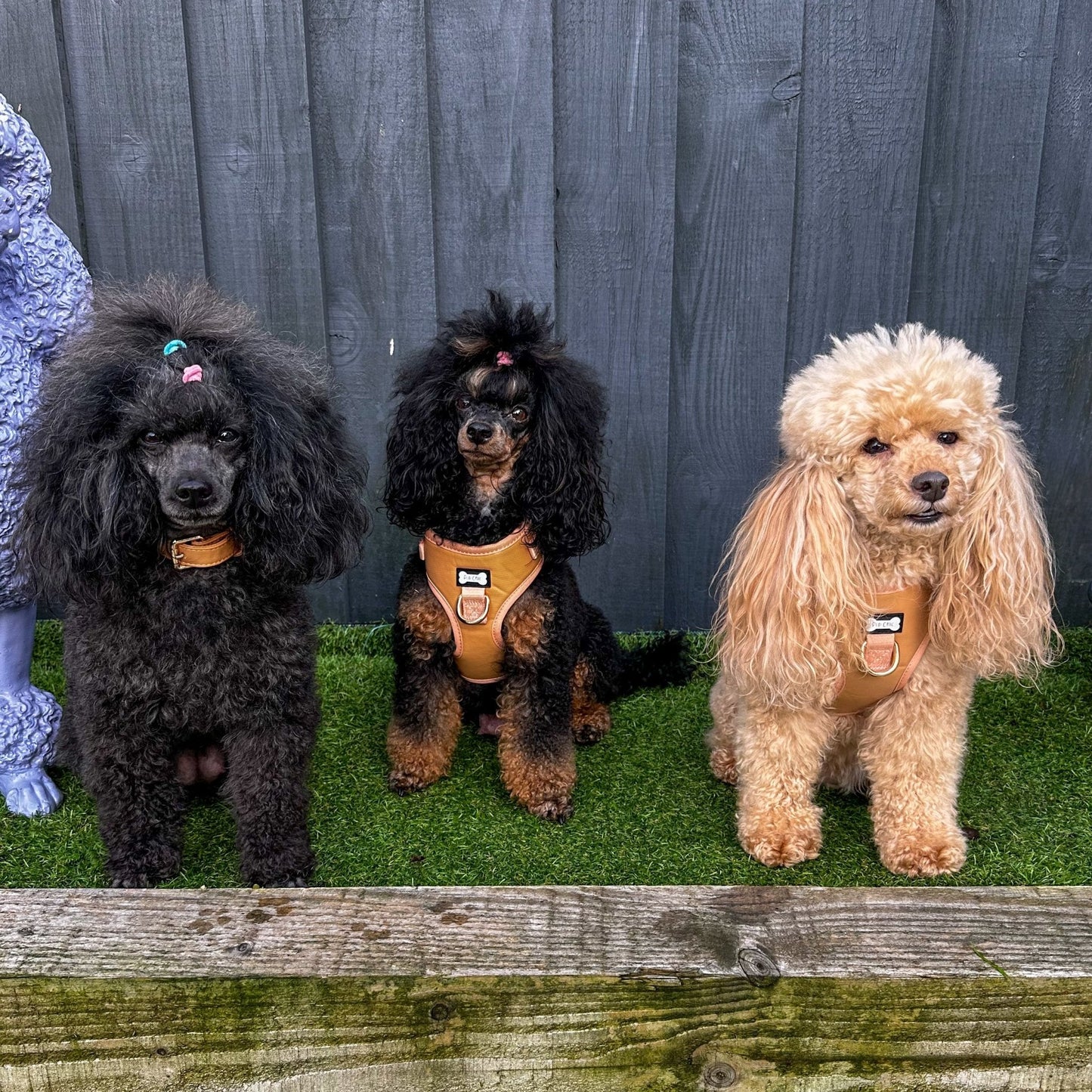 Alfresco Pup faux leather dog harness - camel colour adjustable dog harness