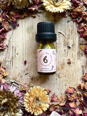 Full Set of 8 Organic Essential Oils + Treat!