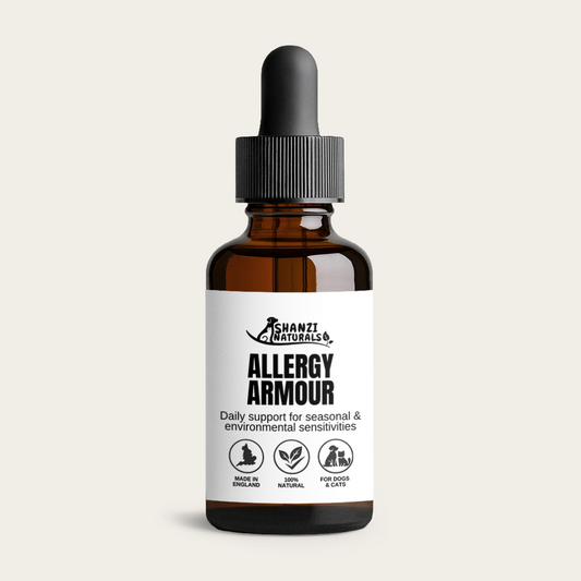Allergy Armour Tincture for Dogs & Cats – Seasonal Allergy & Itch Support