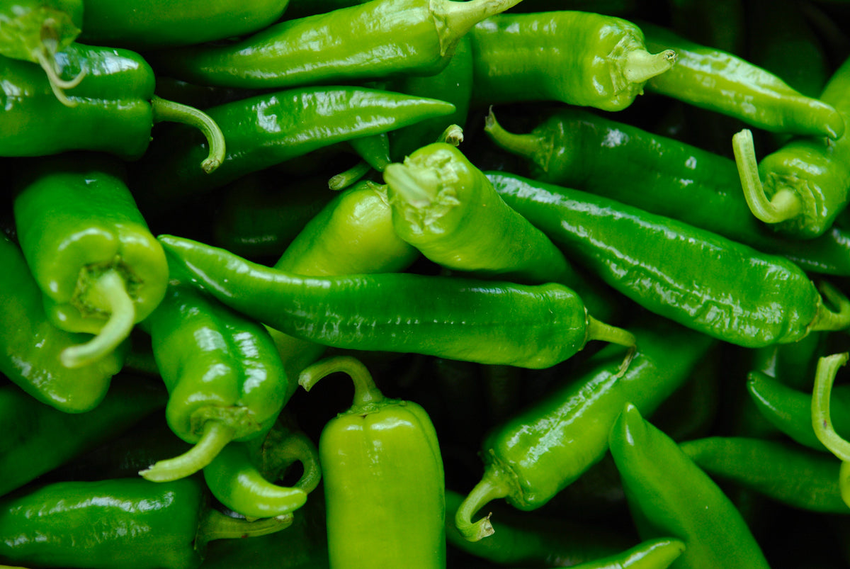 Anaheim Chilli