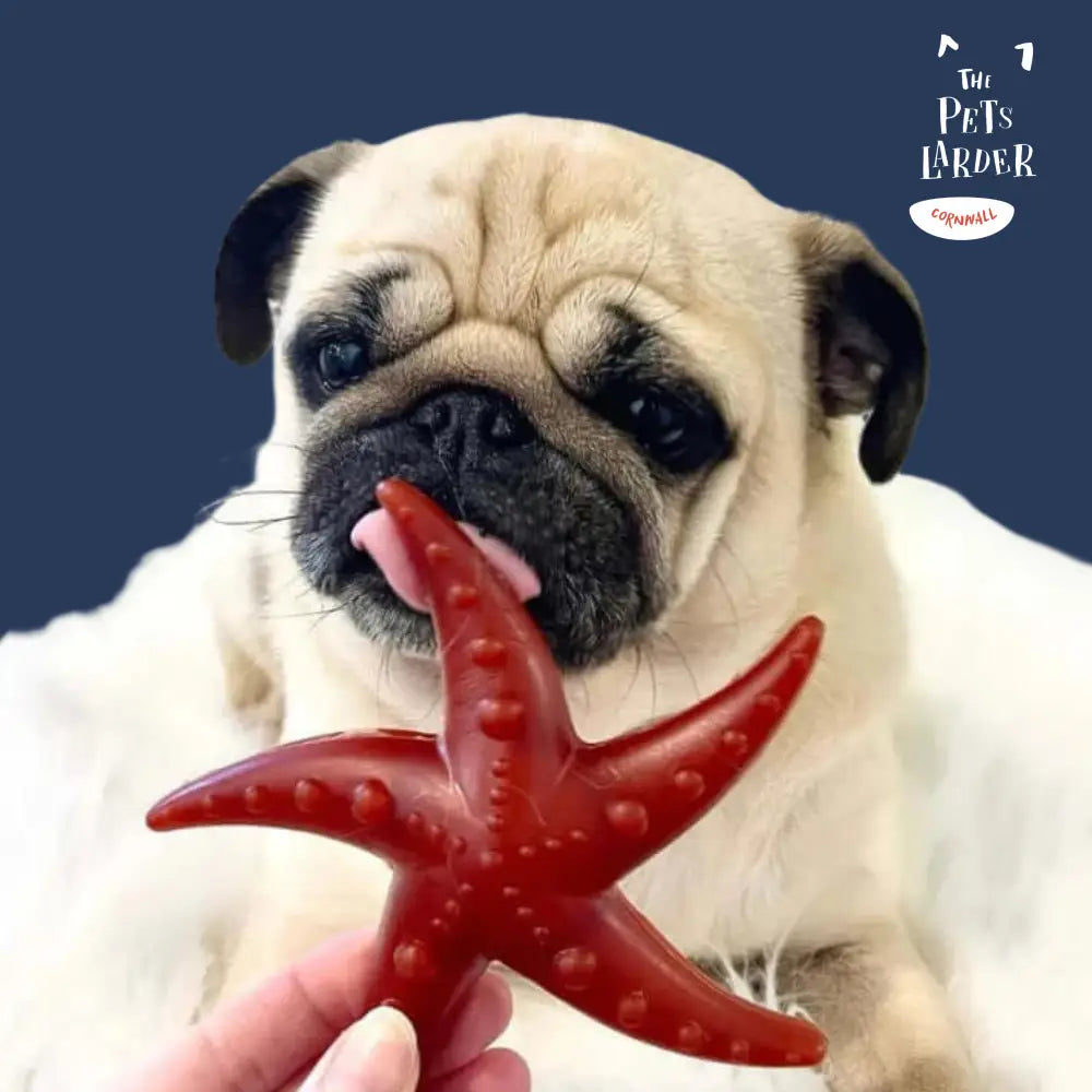 Apple & Mint Starfish