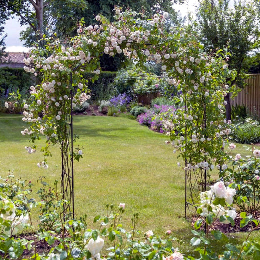 PoppyForge Monet Arch With Lattice Infill Panels Pack