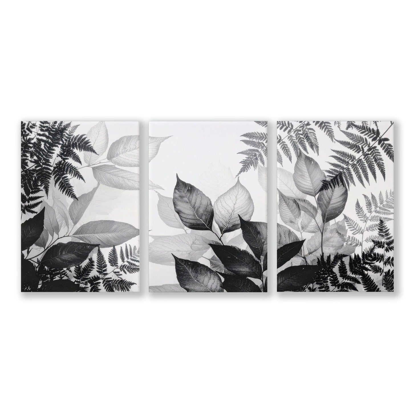 Art In Frames | Set of 3 Botanical Wall art Prints