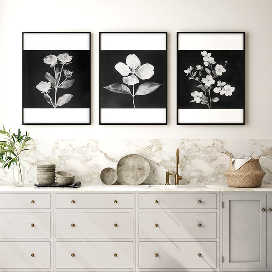 Artwork for a Kitchen Wall Black & White Botanical Floral Wall Art Prints | Set of 3