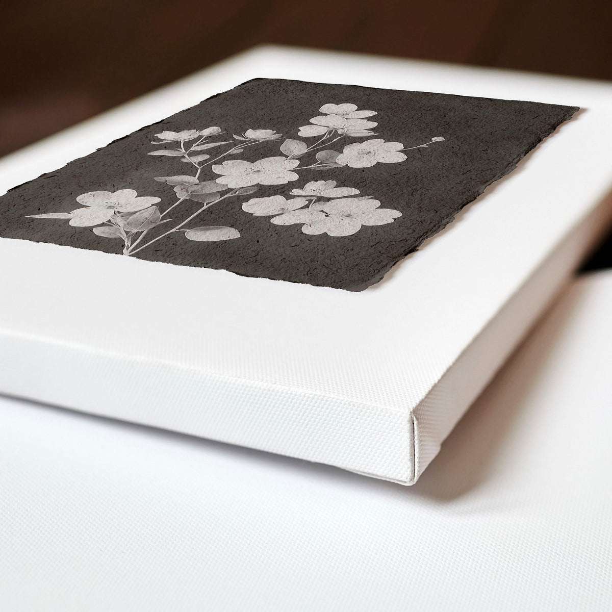 Artwork for a Kitchen Wall Black & White Botanical Floral Wall Art Prints | Set of 3