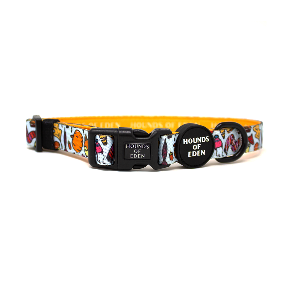 Country Pupkin - Autumnal Doodle Dog Collar
