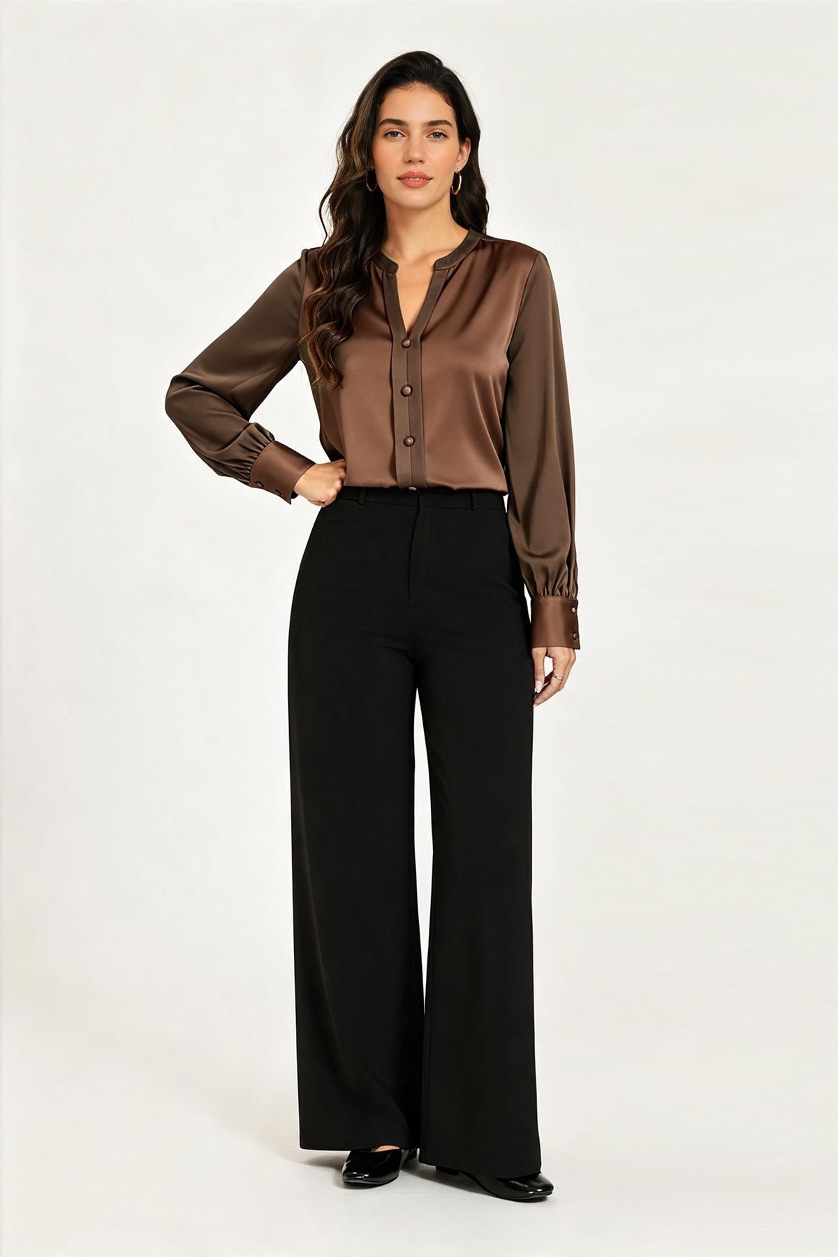 Long Sheer Sleeve Satin Notch Neck Blouse Top In Brown