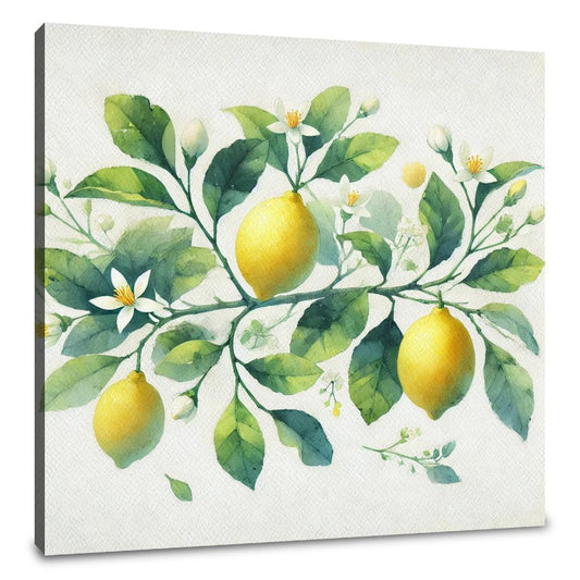 Lemon Blossom Watercolour Canvas