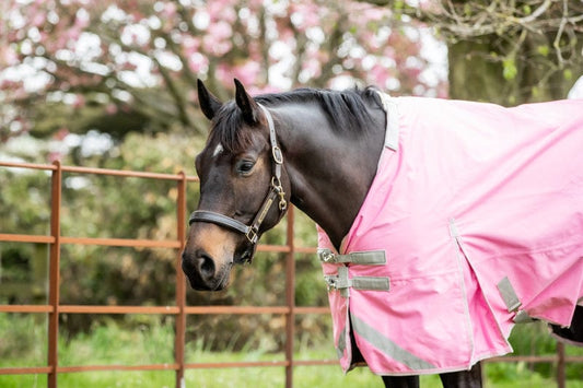 50g Detachable Neck Turnout Rug - Baby Pink