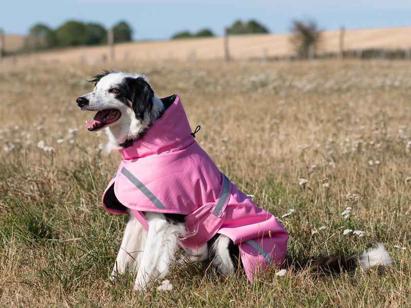 Luxe Waterproof Dog Coat 0g - Baby Pink