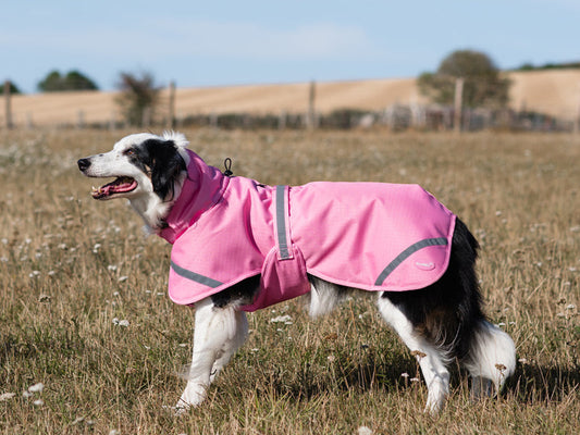 Luxe Waterproof Dog Coat 0g - Baby Pink