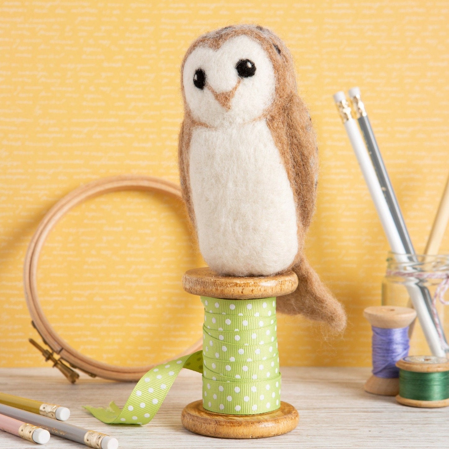 Barn Owl Bird Needle Felting Kit for Beginners