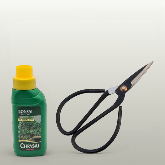 Basic Care Kit
