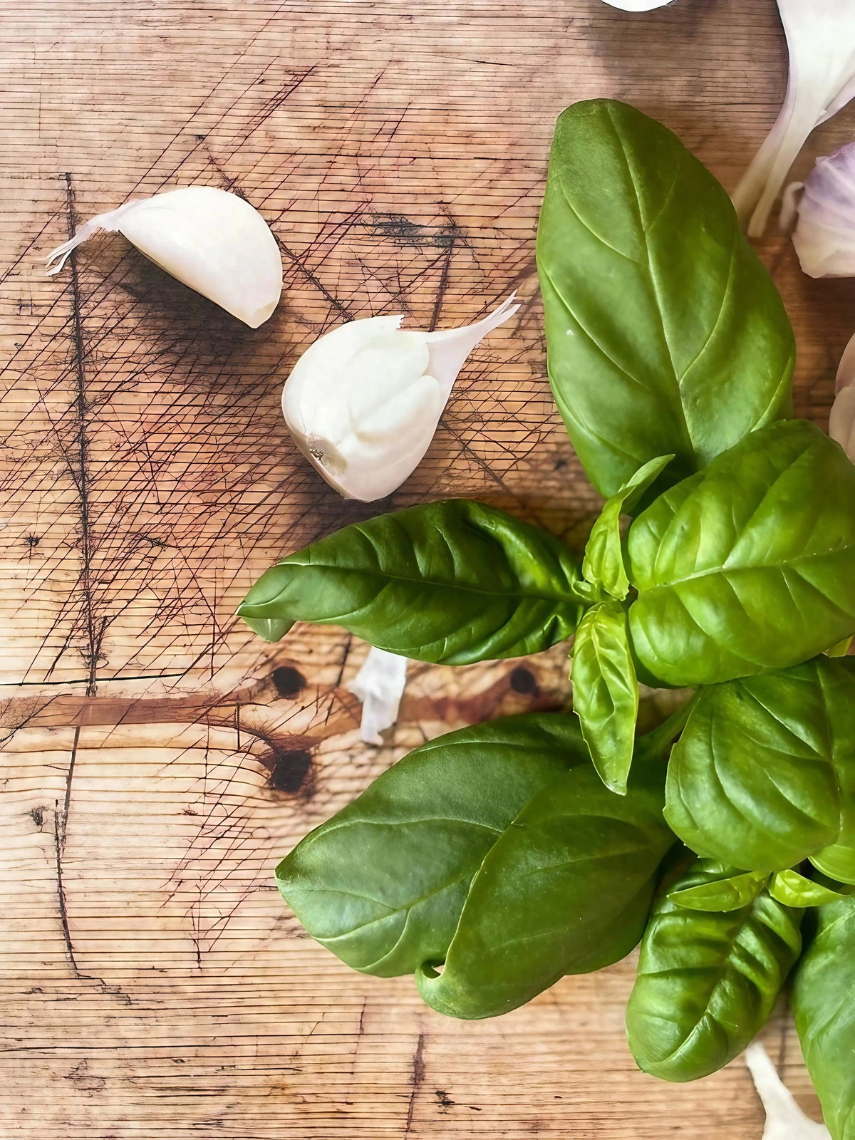 Basil Classic Italian