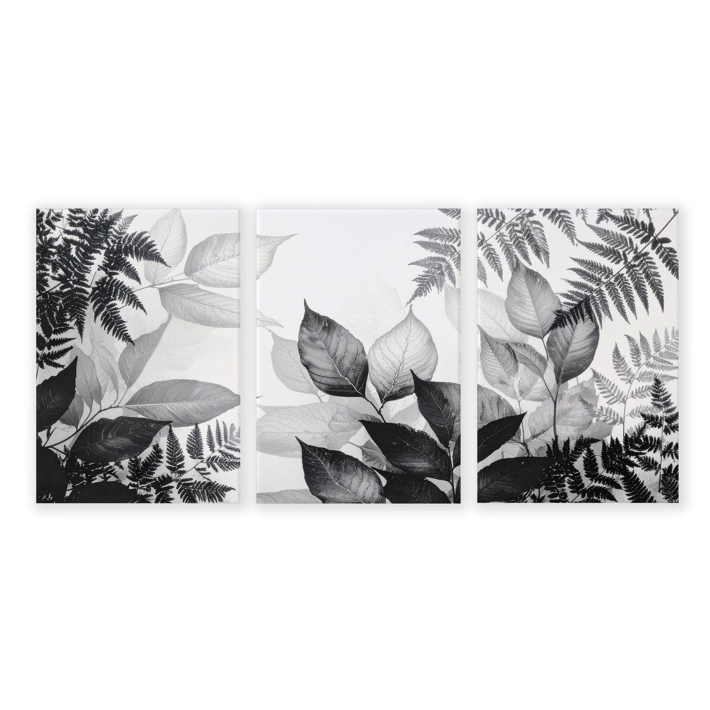 Bathroom Wall Prints | Set of 3 Botanical Wall art Prints