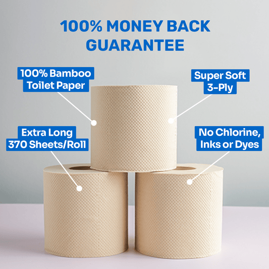Bazoo Unbleached Bamboo Toilet Paper | 24 Rolls or 48 Rolls | 100% Bamboo, Plastic-Free