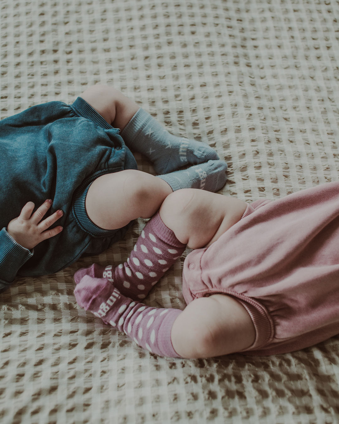 Lamington Knee High Socks - Jemima