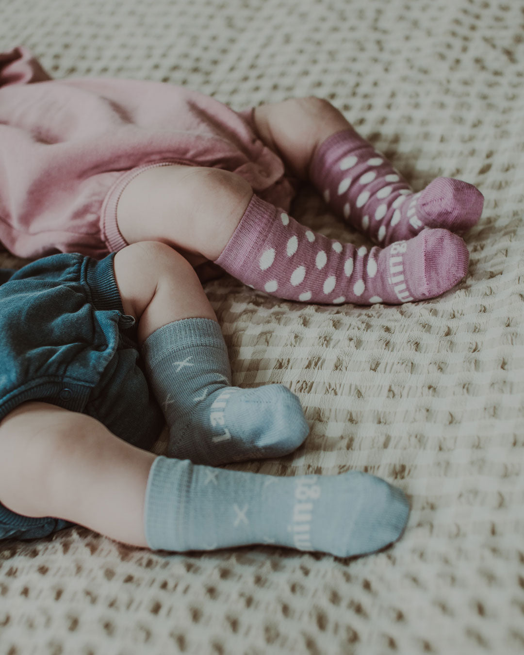 Lamington Crew Socks - Beau