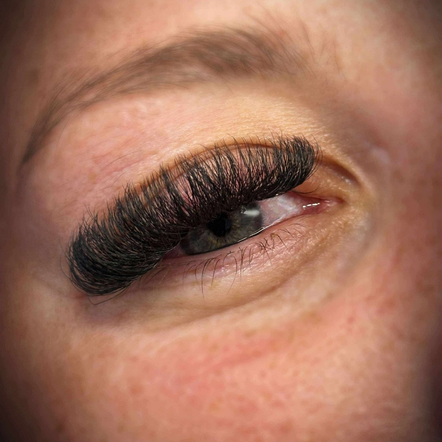 10D Clover Lashes – 16 Row Single Length Trays