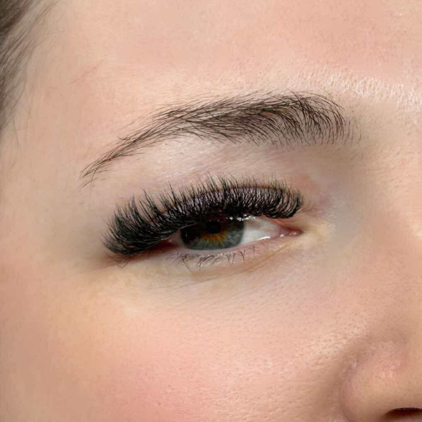 8D Clover Lashes – 16 Row Single Length Trays