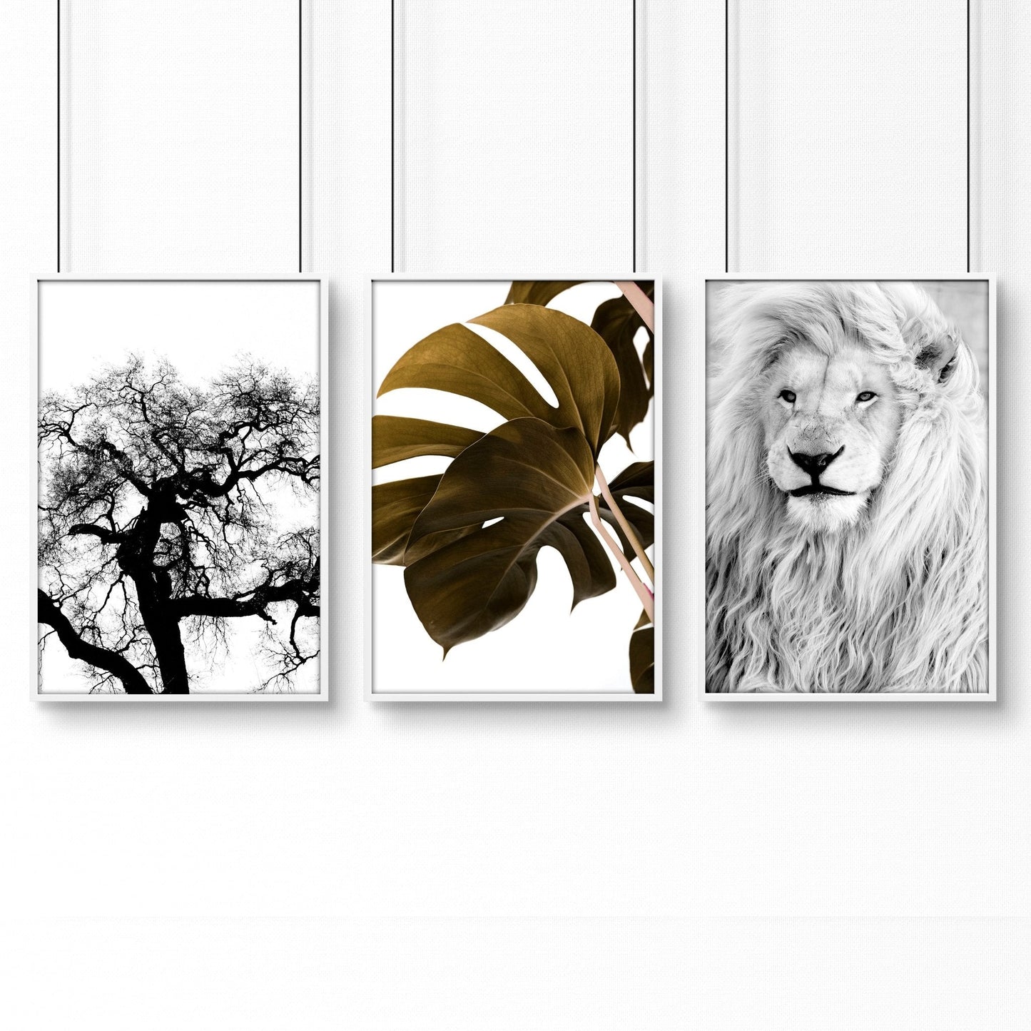 Bedroom Art Work decor | Set of 3 Wildlife Wall art Prints