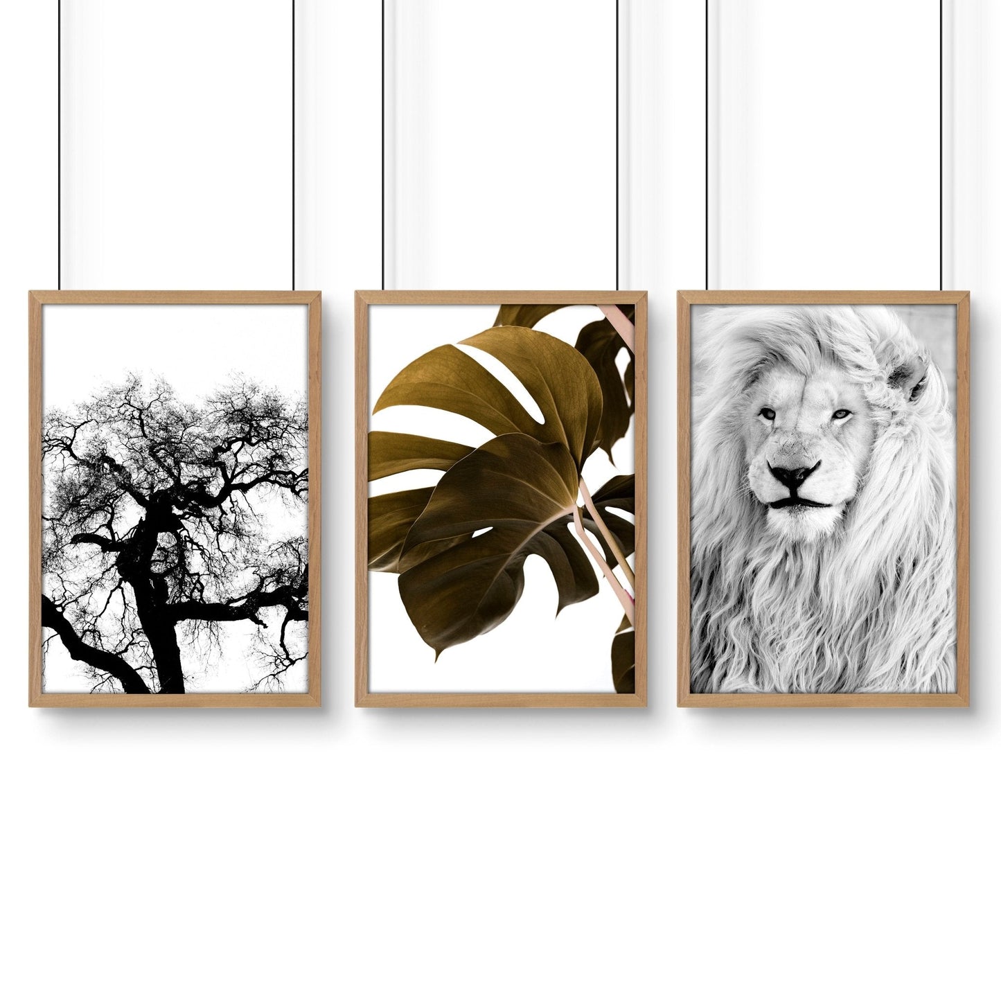 Bedroom Art Work decor | Set of 3 Wildlife Wall art Prints