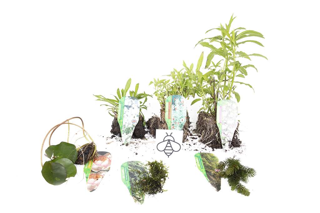 Premium Pond Starter Packs - Pond topup Packs - Oxygenating - Compost and Pots